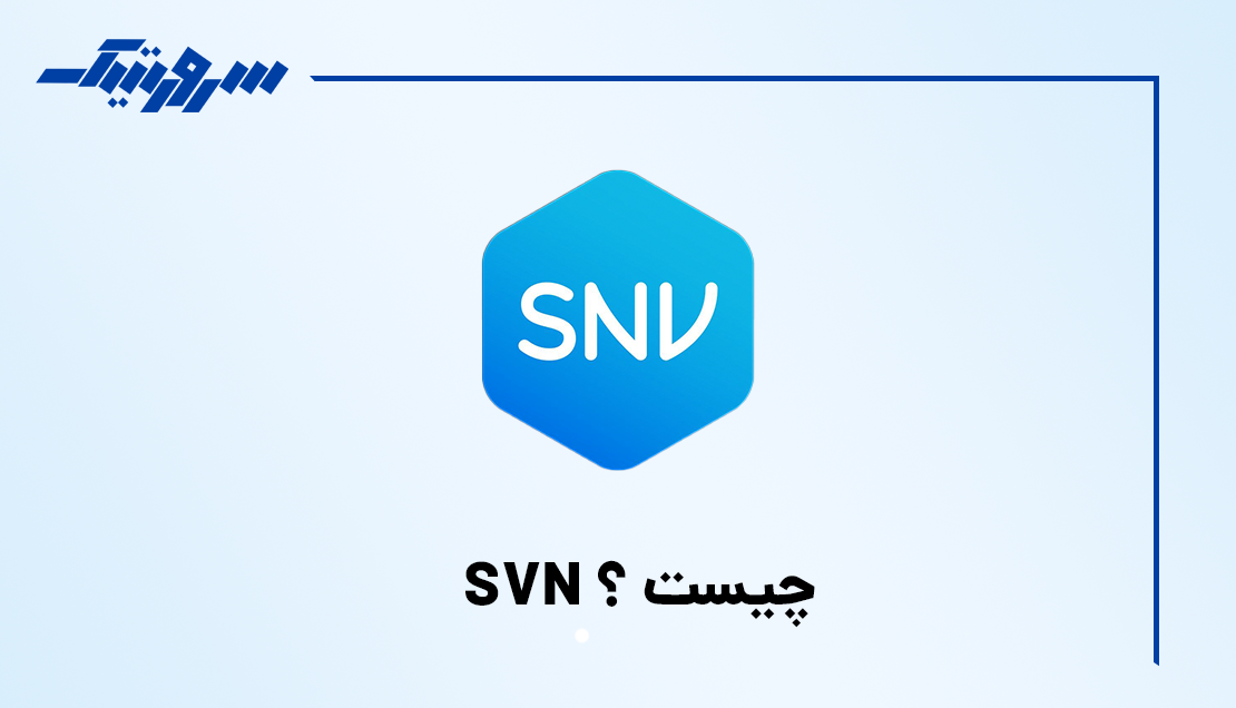 تصویر SVN چیست ؟